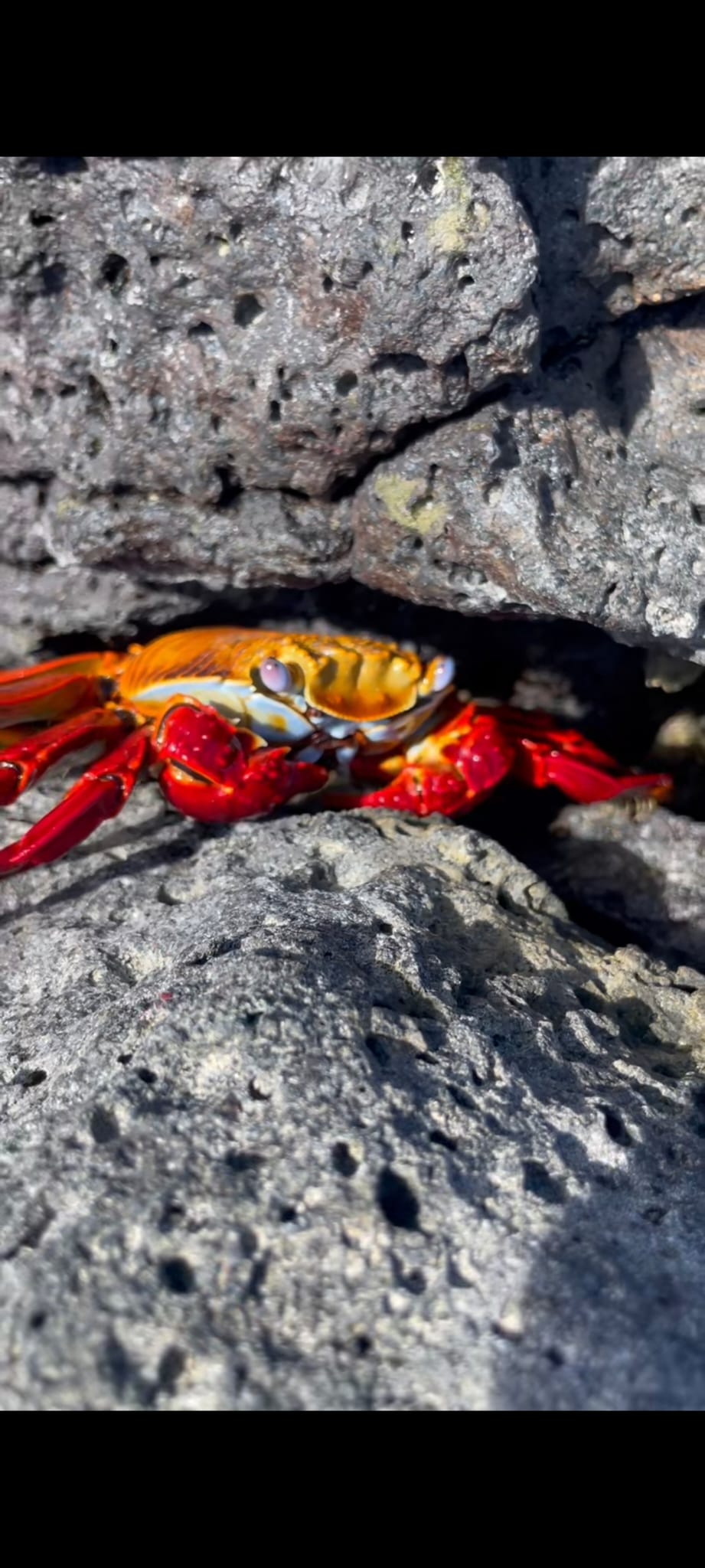 Viaggio Ecuador e Galapagos